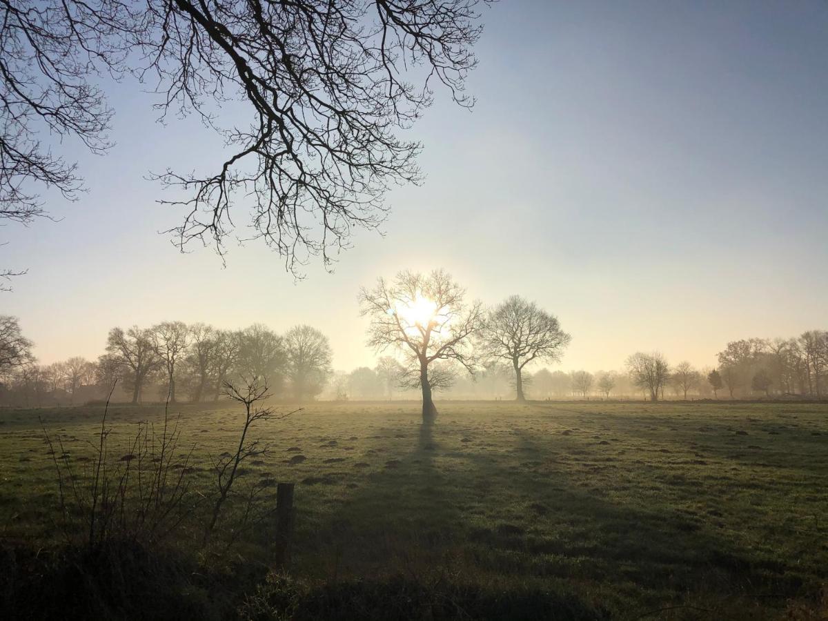 Gut Strackholt Fewo Seemannsgarn Grossefehn Esterno foto